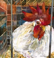 Rooster 2 Fine Art Print