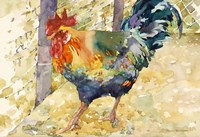 Colorful Rooster Fine Art Print