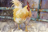 Rooster Fence Fine Art Print
