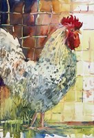 Speckled Splendor Fine Art Print