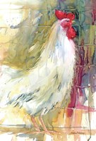 White Rooster Fine Art Print