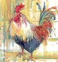 Proud Plummage Fine Art Print