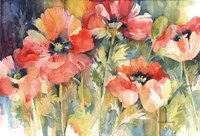 Garden Fireworks Fine Art Print