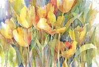 Golden Group Fine Art Print