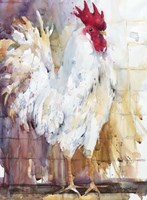 Leghorn Fine Art Print