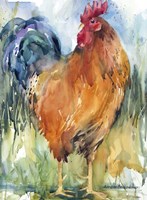 Free Range Fine Art Print