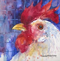 Primary Colors Fine Art Print