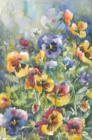 Picture Perfect Pansies Fine Art Print