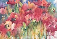 Color Craze Fine Art Print