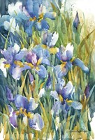 Summer Heralds Fine Art Print