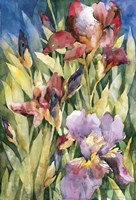 Unfurling Fine Art Print