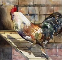 Walking The Plank Fine Art Print