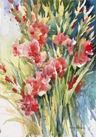 Gladiola Bunch Fine Art Print