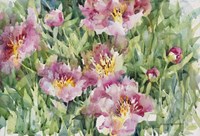 Posing In Pastel Pink Fine Art Print