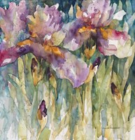 Siberian Iris Fine Art Print