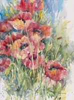 Blooming Blaze Fine Art Print