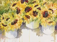 Follow The Sun Fine Art Print