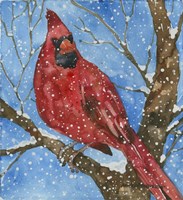 Snowbird Fine Art Print