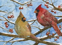 Winter Warmth Fine Art Print