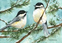Chickadee Chat Fine Art Print
