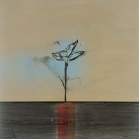 Zen Blossom II Fine Art Print