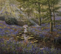 Bluebell Bridge Fine Art Print