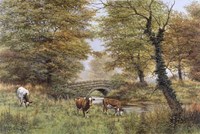 Cows By Bridge Fine Art Print