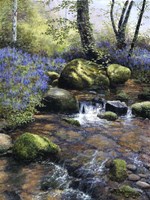 Shallow Brook Fine Art Print