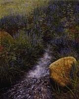 Sparkling Water Fine Art Print