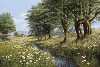 Beeches And Daisies Fine Art Print