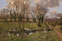 Cattle And Daffodils Fine Art Print