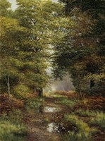 Woodland In The Fall Fine Art Print