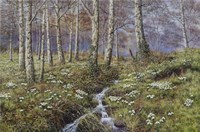 Snowdrop Dell Fine Art Print
