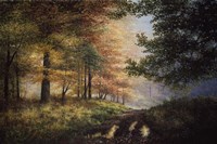 Fall In The Pines Fine Art Print