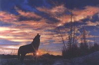 Sky Wolf Fine Art Print