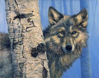 Birch Wolf Fine Art Print