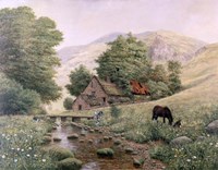 Grazing Fine Art Print