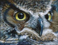 Dark Owl Fine Art Print