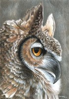 Sepia Owl Fine Art Print