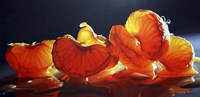 Mandarin Orange Fine Art Print