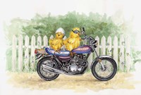 Biker Chicks Fine Art Print