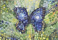 Butterfly Disguise Fine Art Print