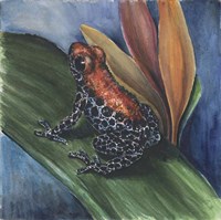 Blue Jean Frog Fine Art Print