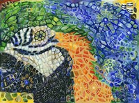 Guacamaya Fine Art Print