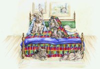 Pigs In A Blanket Fine Art Print