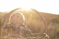 Basket Burst Fine Art Print