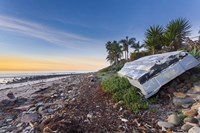 Beached Fine Art Print