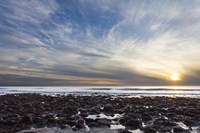 Beholding Fine Art Print