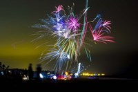 Bursting Fine Art Print