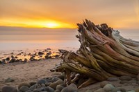 Driftwood Sunset Fine Art Print